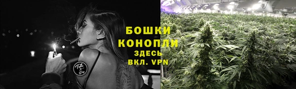 ГАЛЛЮЦИНОГЕННЫЕ ГРИБЫ Баксан
