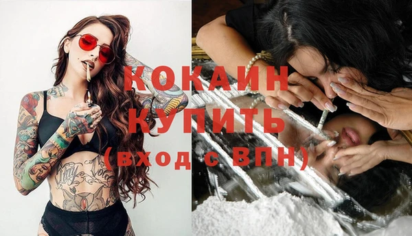 ГАЛЛЮЦИНОГЕННЫЕ ГРИБЫ Баксан