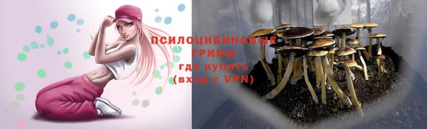 ГАЛЛЮЦИНОГЕННЫЕ ГРИБЫ Баксан