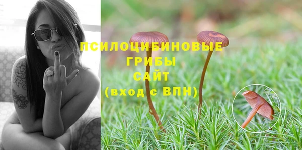 ГАЛЛЮЦИНОГЕННЫЕ ГРИБЫ Баксан